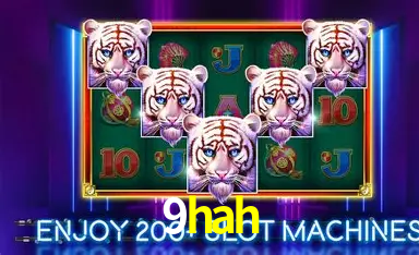 9hah: A Experiência de Casino com Jogos de Mesa ao Vivo