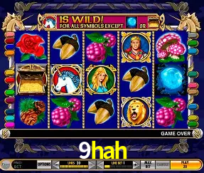 Descubra o Mundo do Cassino Online com 9hah